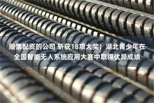 股票配资的公司 斩获18项大奖！湖北青少年在全国智能无人系统应用大赛中取得优异成绩